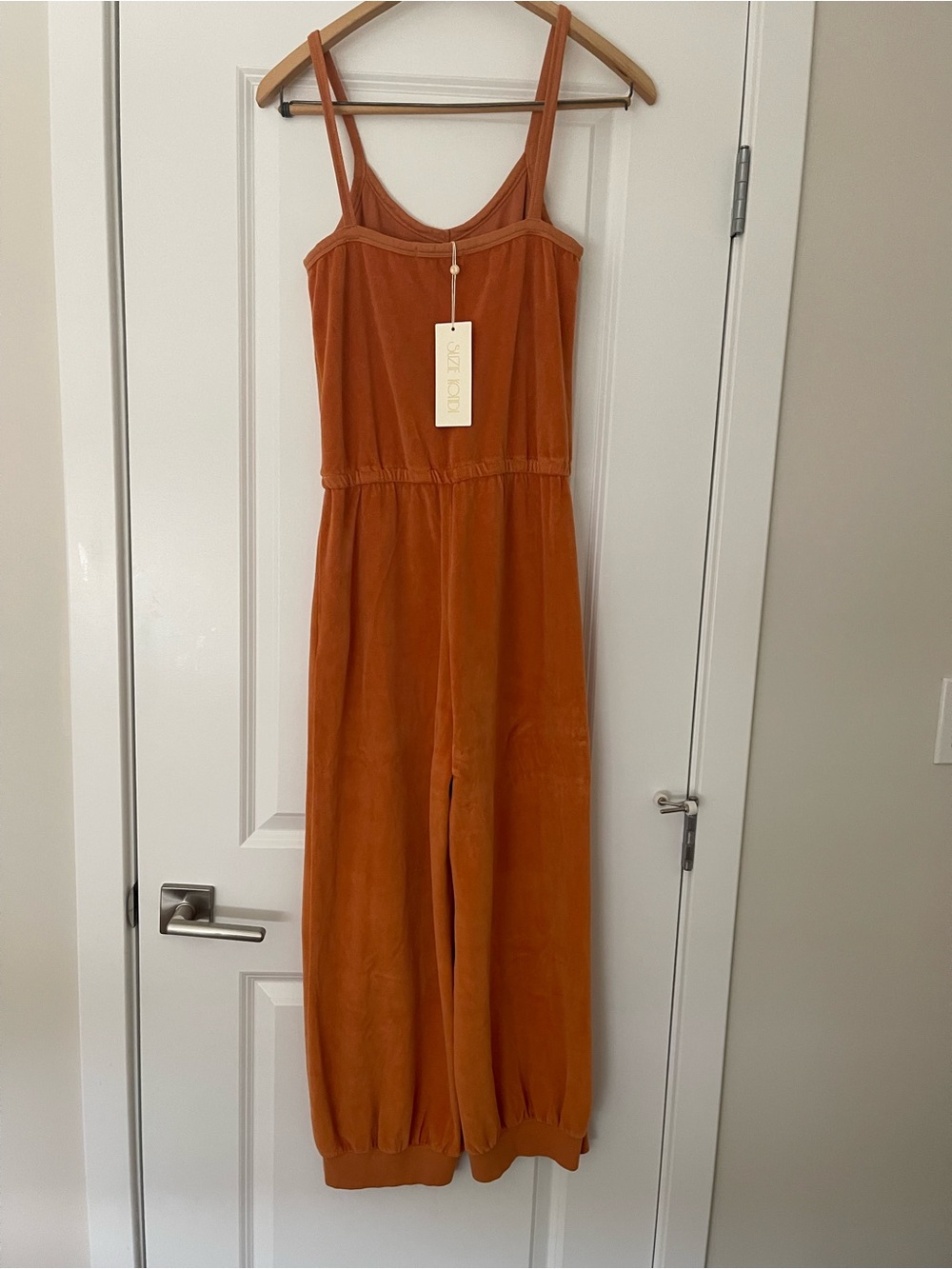 Suzi Kondi Sleeveless Wide-Leg Jumpsuit in Rust - Picture 2 of 3